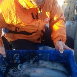 小海途 釣果