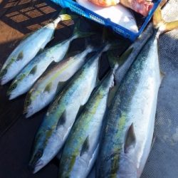 小海途 釣果