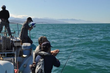 八海丸 釣果