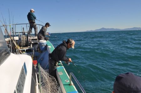 八海丸 釣果