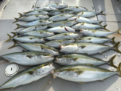 ミタチ丸 釣果