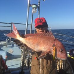 シーモンキー 釣果