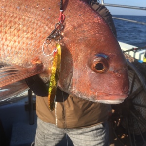 シーモンキー 釣果