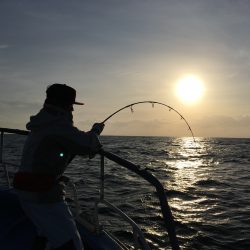 松鶴丸 釣果