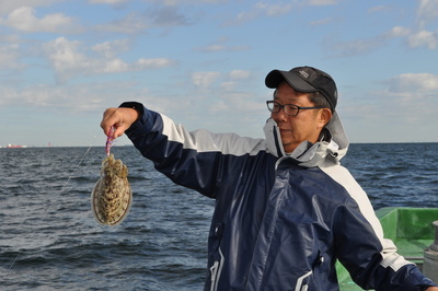 根岸丸 釣果