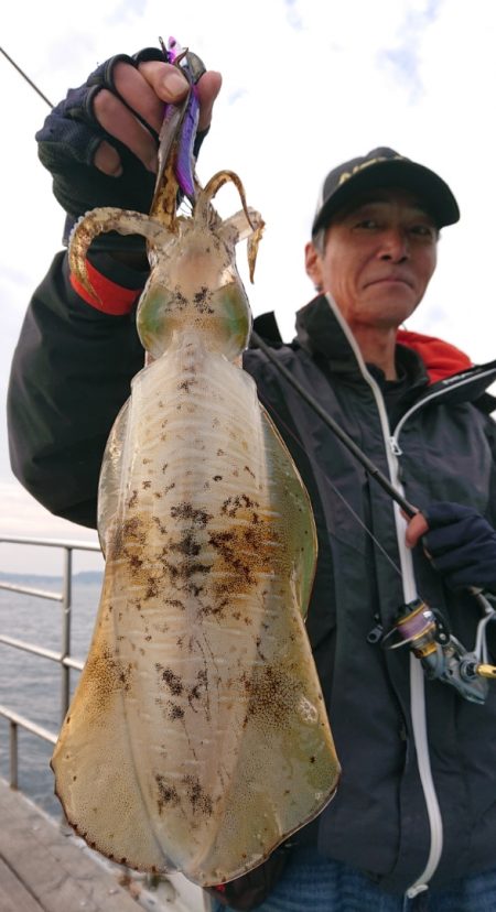 シースナイパー海龍 釣果