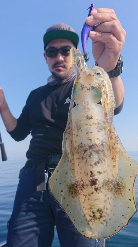 シースナイパー海龍 釣果