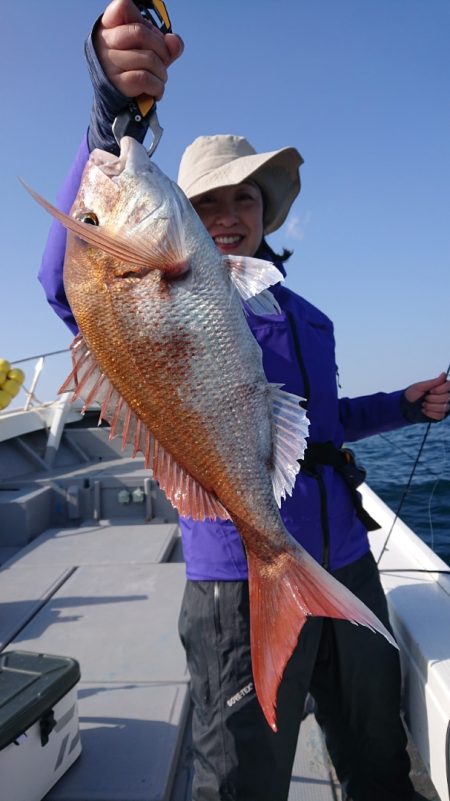 だて丸 釣果