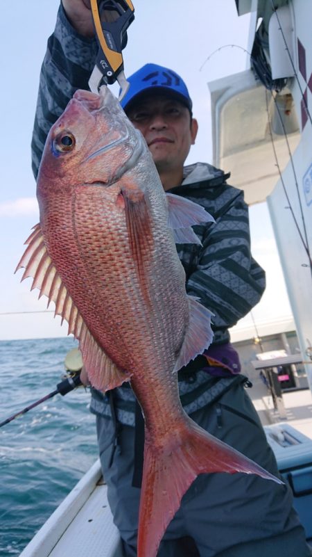 だて丸 釣果