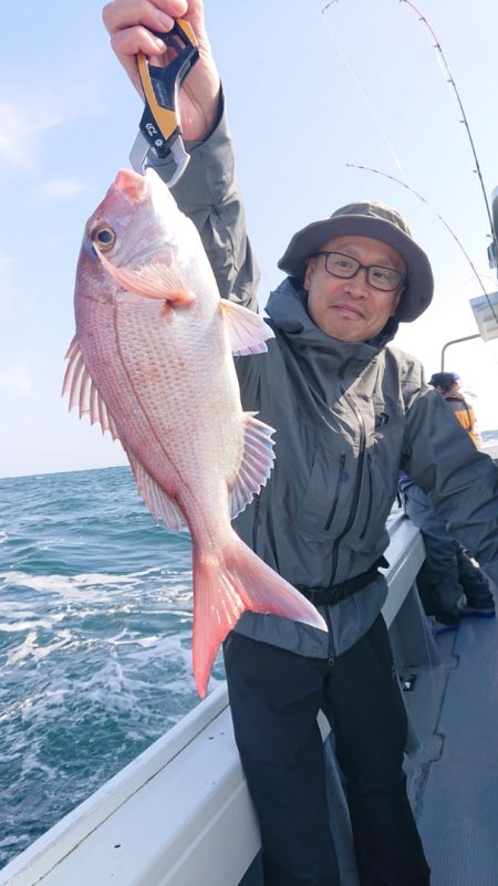 だて丸 釣果