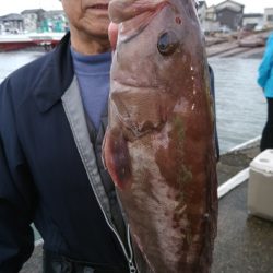 富士丸 釣果