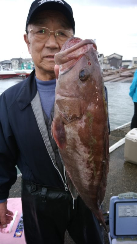 富士丸 釣果