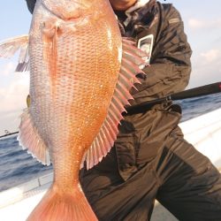 だて丸 釣果