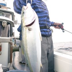 だて丸 釣果