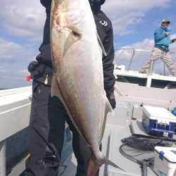 だて丸 釣果