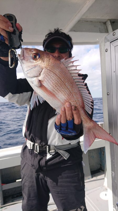 だて丸 釣果