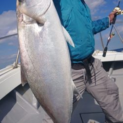 だて丸 釣果