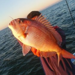 新幸丸 釣果