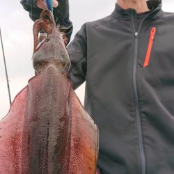 シースナイパー海龍 釣果