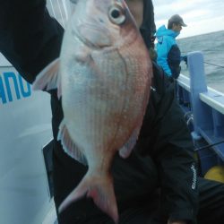 新幸丸 釣果