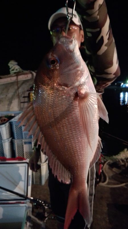 富士丸 釣果