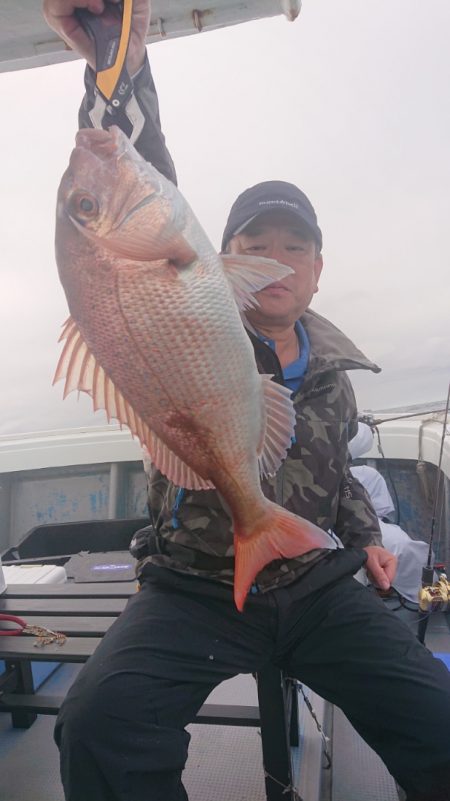 だて丸 釣果