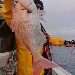 だて丸 釣果