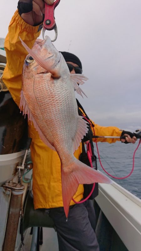 だて丸 釣果