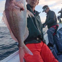 だて丸 釣果