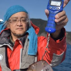 渡船屋たにぐち 釣果