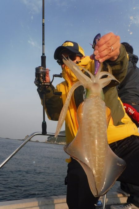 ブルースフィッシングサービス 釣果