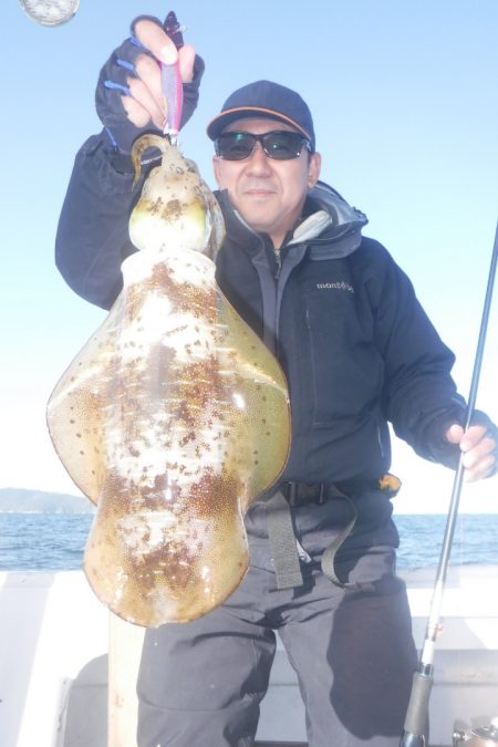 ブルースフィッシングサービス 釣果