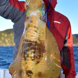 渡船屋たにぐち 釣果