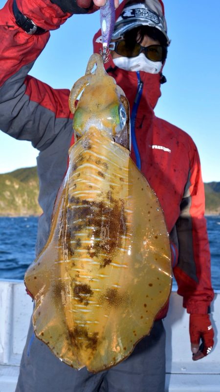 渡船屋たにぐち 釣果