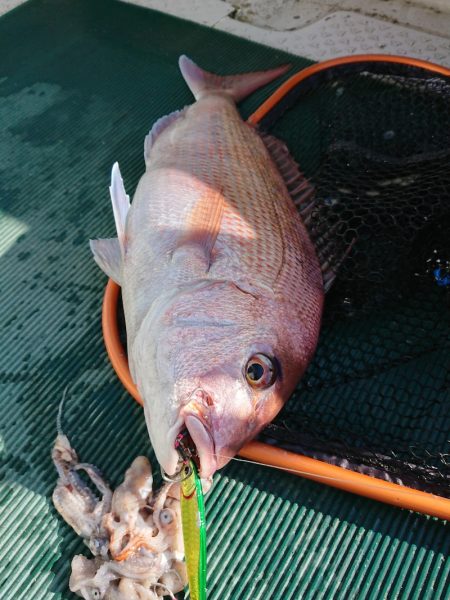 鷹王丸 釣果