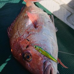 鷹王丸 釣果