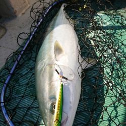 鷹王丸 釣果