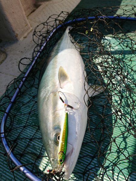 鷹王丸 釣果