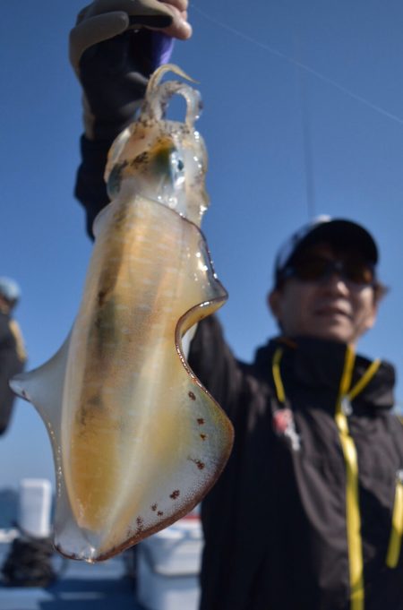 渡船屋たにぐち 釣果