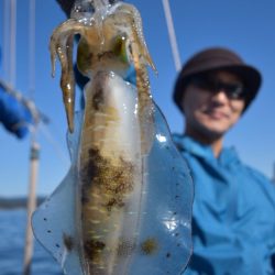 渡船屋たにぐち 釣果