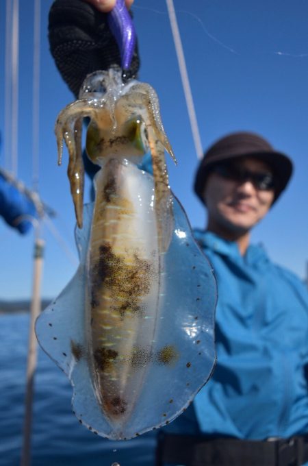 渡船屋たにぐち 釣果