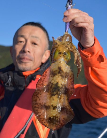 渡船屋たにぐち 釣果