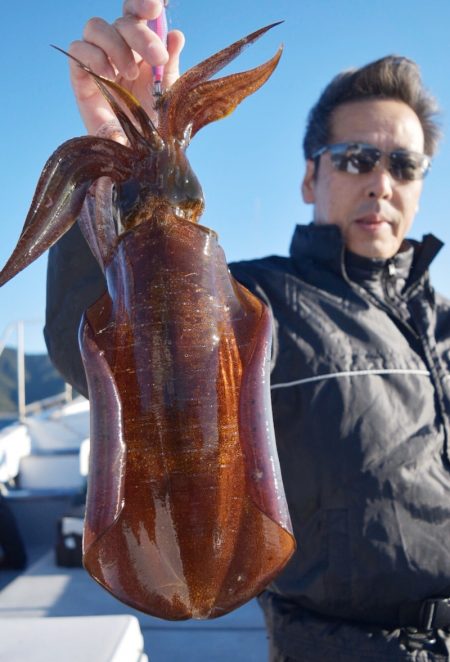 渡船屋たにぐち 釣果