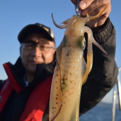 渡船屋たにぐち 釣果