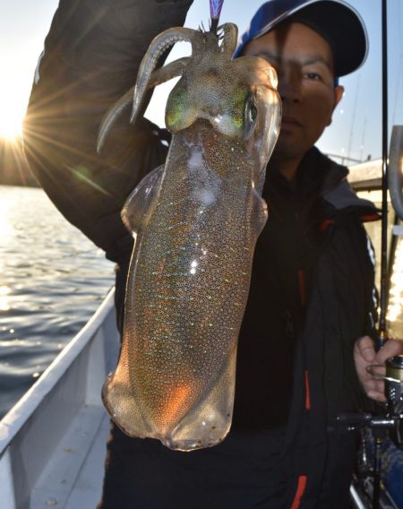 渡船屋たにぐち 釣果