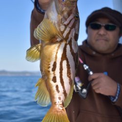 渡船屋たにぐち 釣果