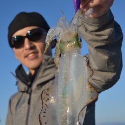 渡船屋たにぐち 釣果