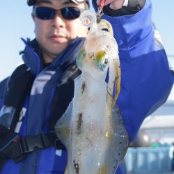 渡船屋たにぐち 釣果