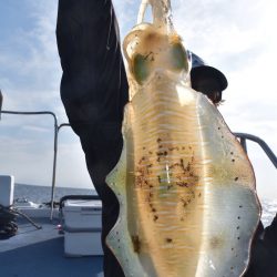 渡船屋たにぐち 釣果