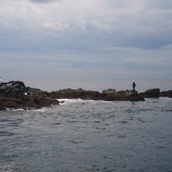 しば渡船 釣果